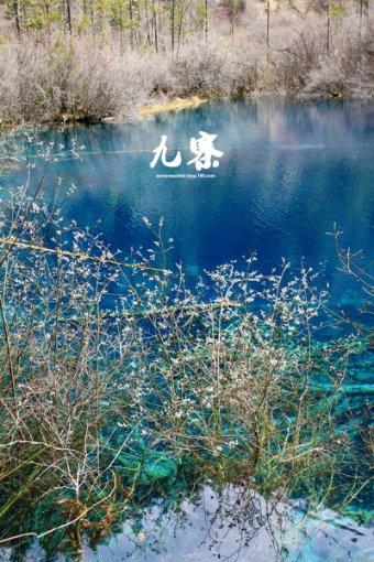 被困的老人