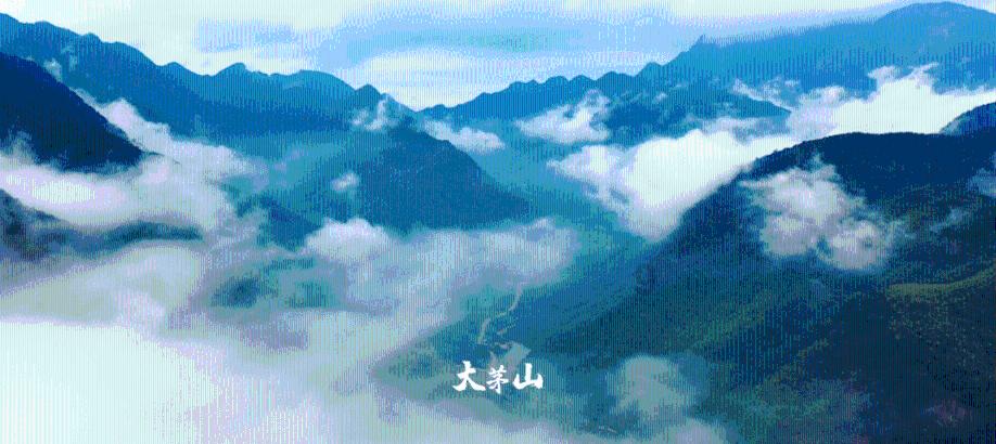 为何很多人都说刘青云的《神探大战》超好看?有哪些槽点呢?- 专业的知识问答网页