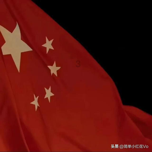 植物大战僵尸8