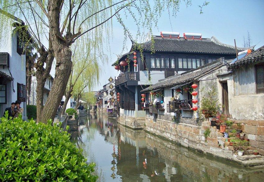 盘点2017年最让铲屎官糟心的狗子,位居榜首的果然是这种狗……